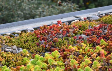 the cost of Dilton Marsh green roof installation