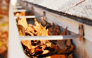 Dilton Marsh gutter cleaning companies