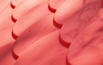 Dilton Marsh plastic roof costs