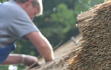 professional Dilton Marsh thatchers