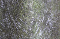 Dilton Marsh fibreglass roof work